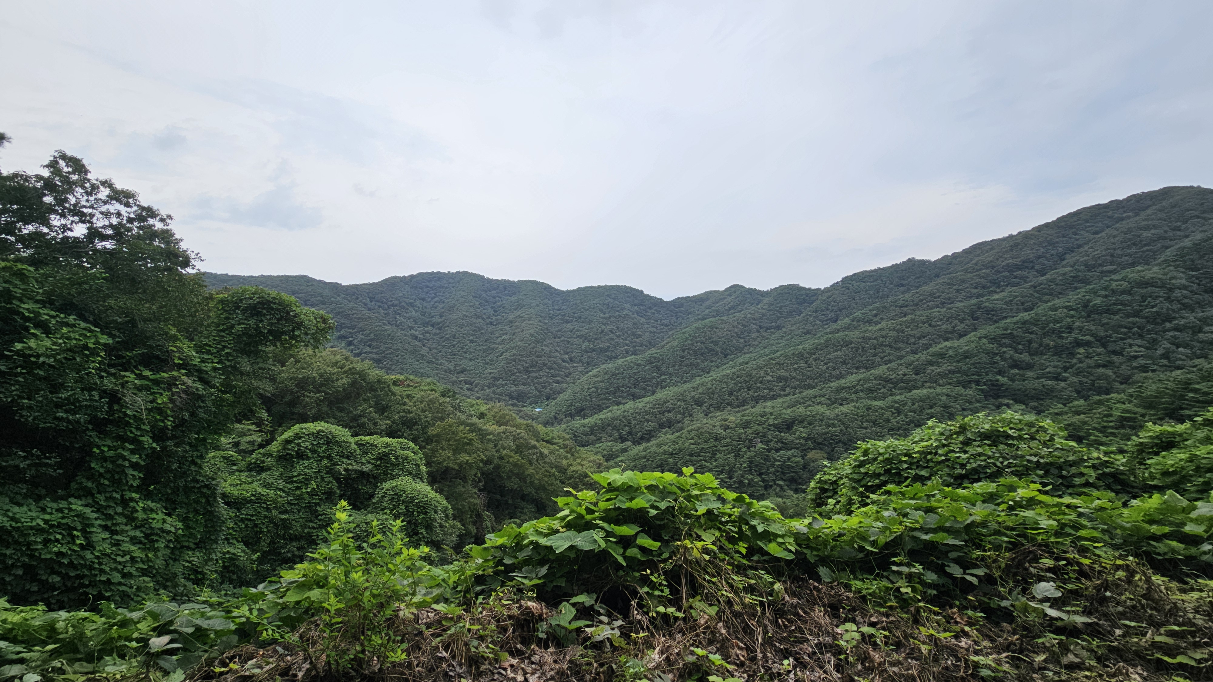 게시물 첨부 이미지