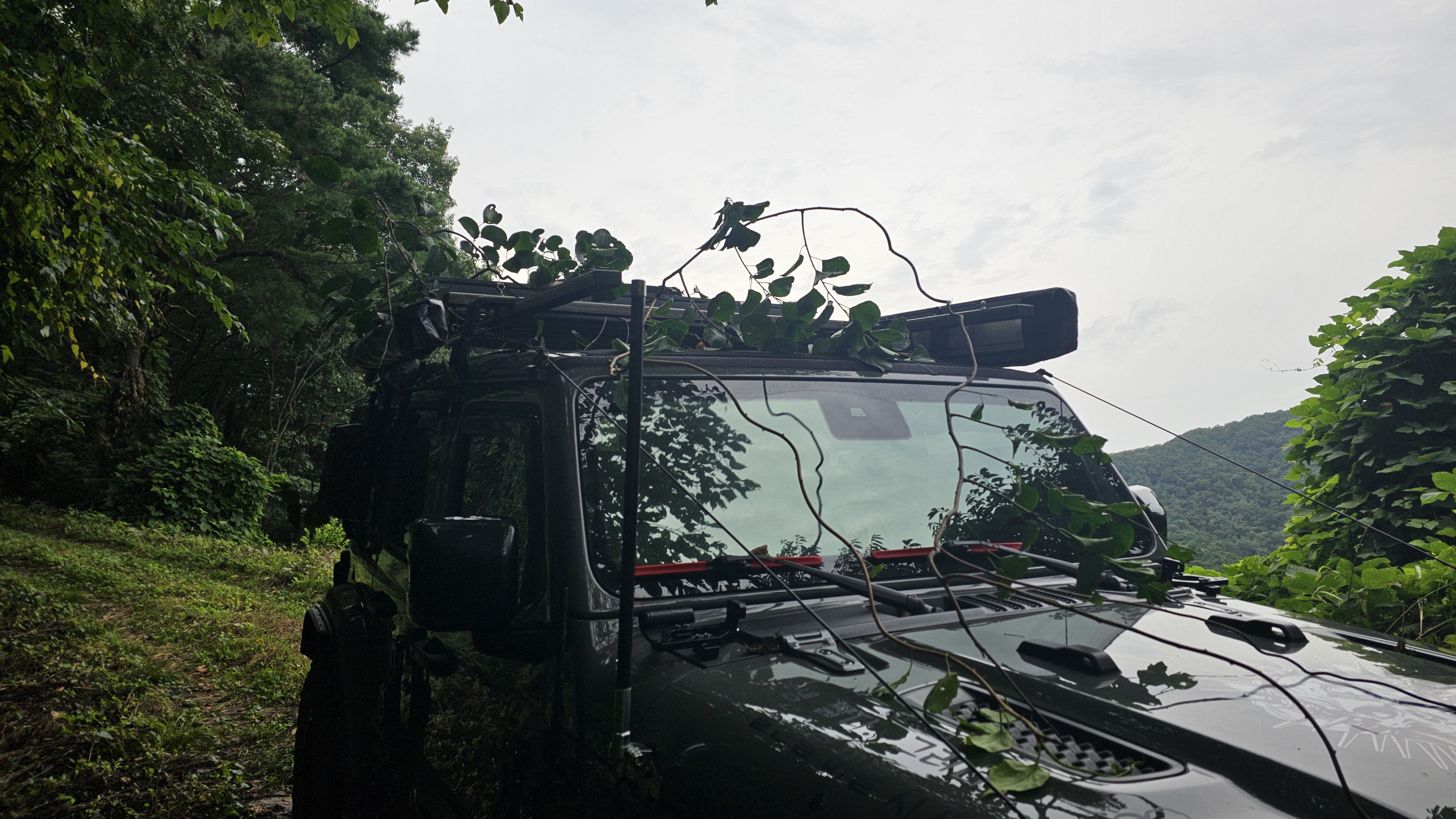 게시물 첨부 이미지