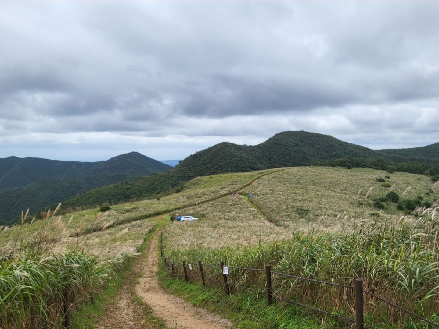 게시물 첨부 이미지