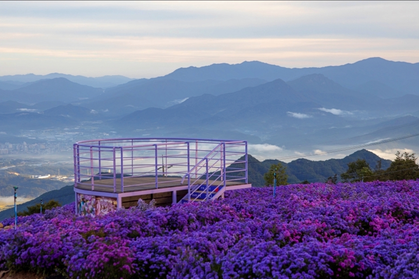 게시물 첨부 이미지