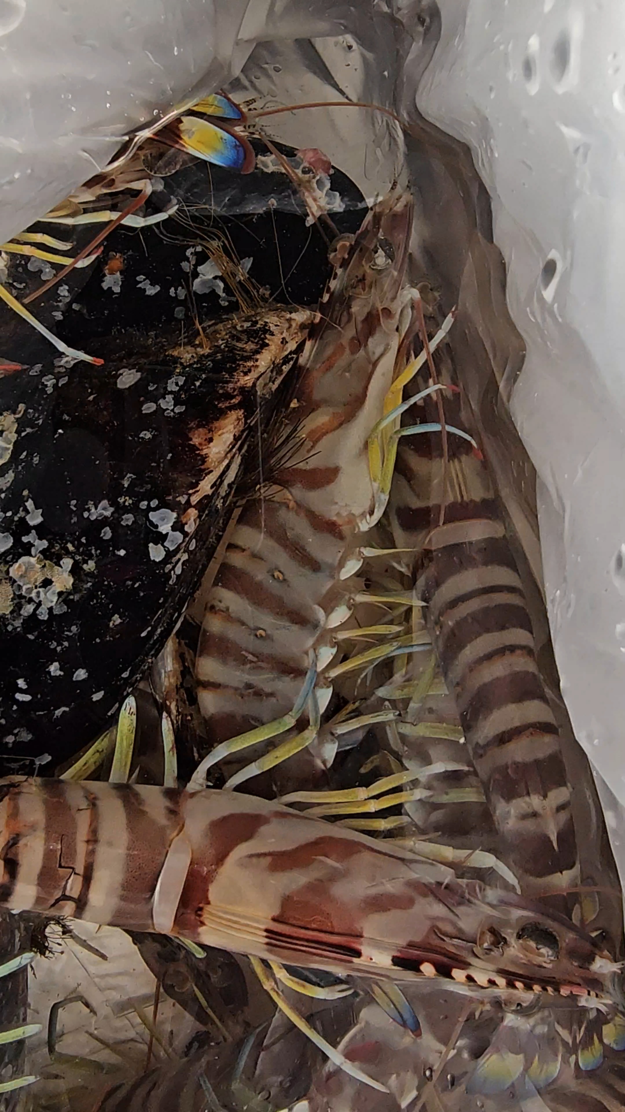 게시물 첨부 이미지