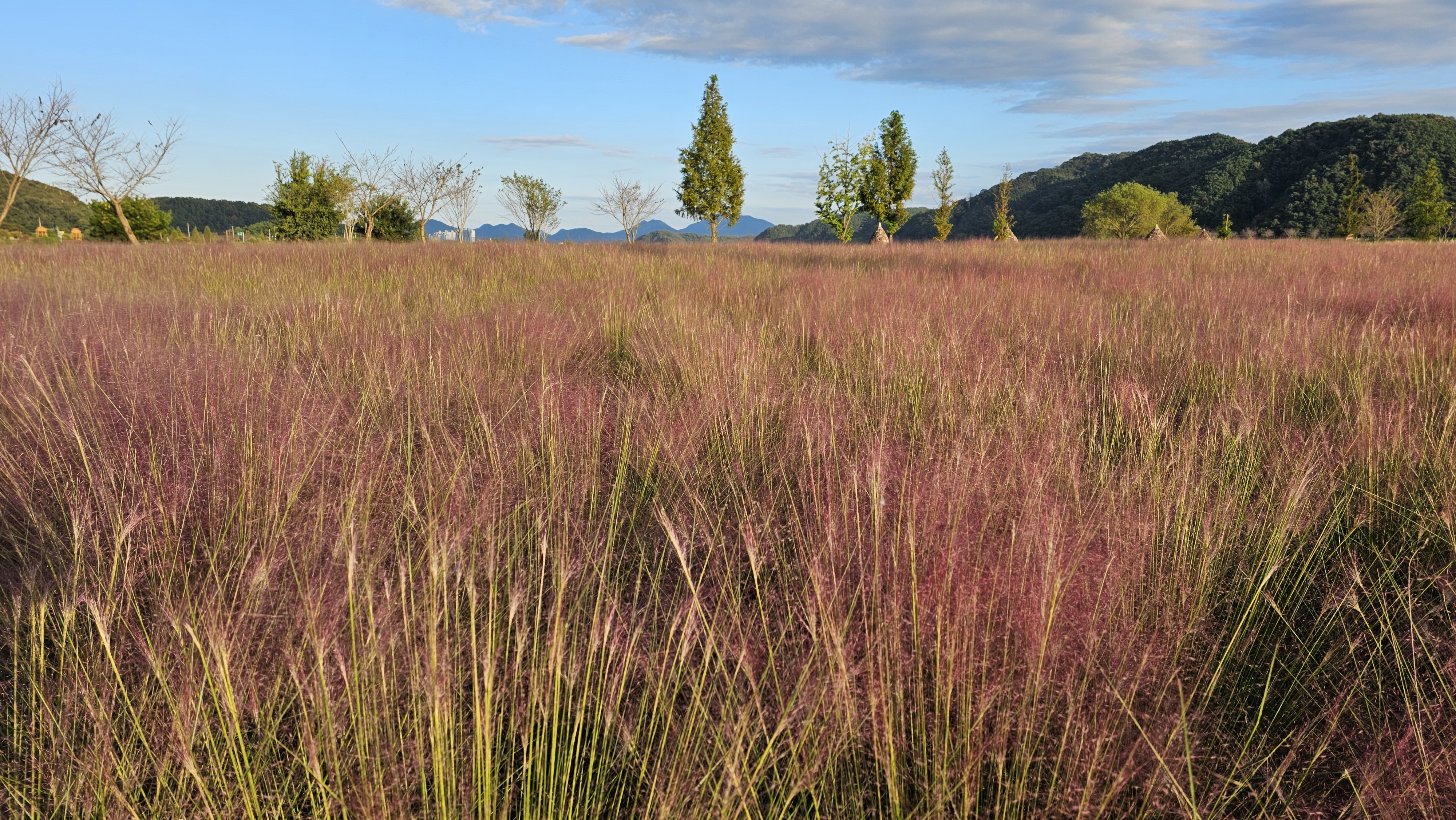 게시물 첨부 이미지