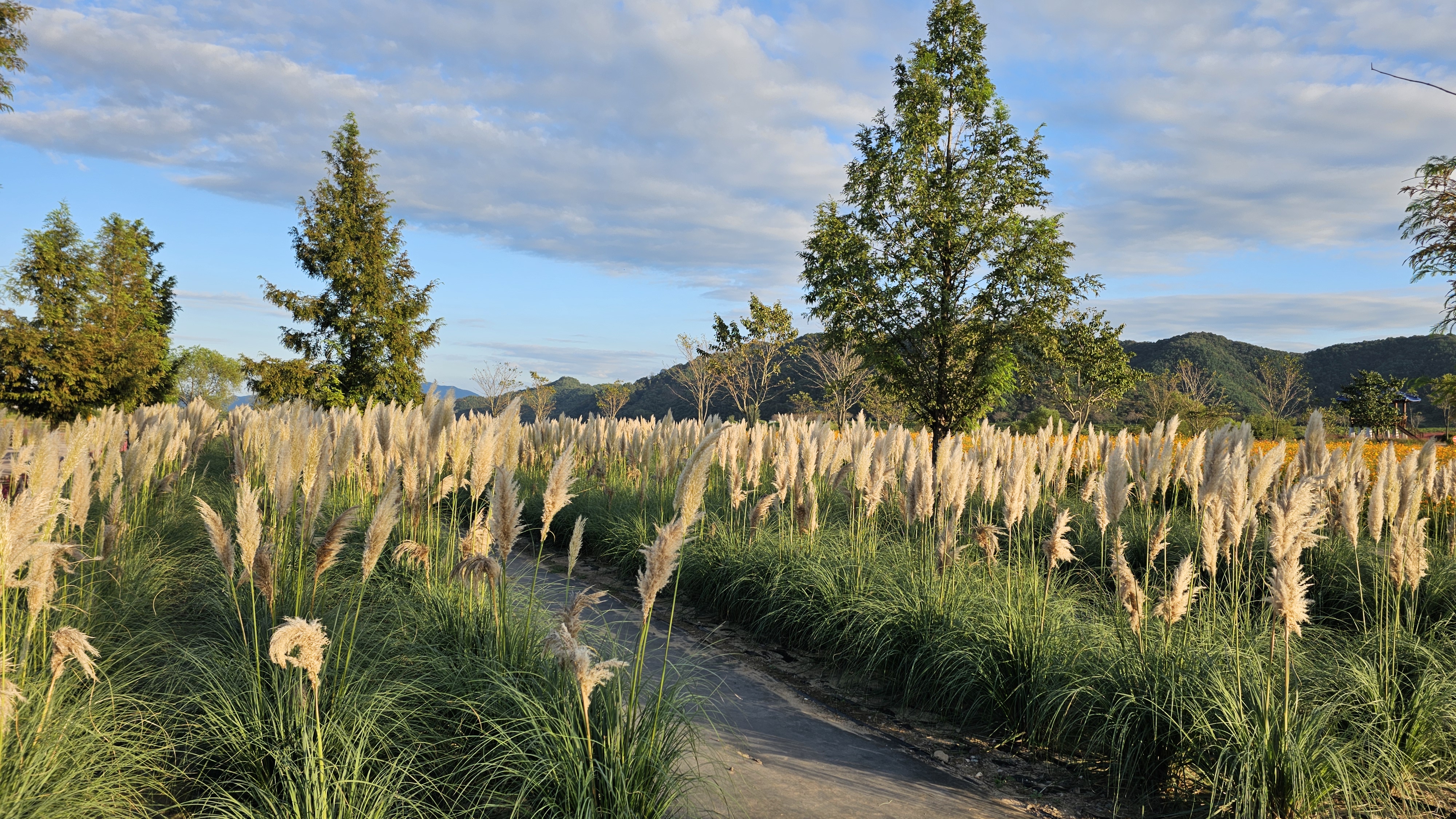 게시물 첨부 이미지